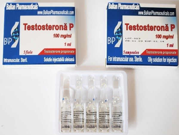 Testosterona P..))