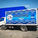 ���� ����������, ���������, 42 ���� - ��������� 30 �������� 2013 � ������ ���� ����������