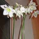 ���� Kisa, ��������������, 42 ���� - ��������� 21 ������� 2013 � ������ ������ �����������...�