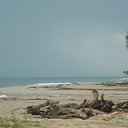 ���� ���, ������, 49 ��� - ��������� 16 ������� 2014 � ������ ������� �� ���