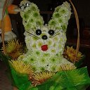 ��������� �����))) �� ������� ����� ��� ������������