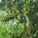 ���� �������, �������������� - ��������� 17 ������� 2014 � ������ ������ ��������