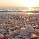 ���� �lga, ����� - ��������� 18 ������� 2014