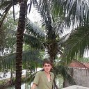 ���� ������, �������� - ��������� 29 ������ 2013 � ������ ���� ����������