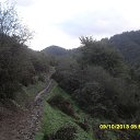 ���� ������, ������, 55 ��� - ��������� 17 ������ 2013 � ������ ���� ����������