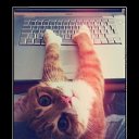 ���� ���, ���������, 23 ���� - ��������� 24 ������� 2013 � ������ ������ ��������