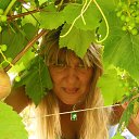 ���� Sofia, ����, 50 ��� - ��������� 2 �������� 2013 � ������ ����� 2013�