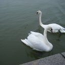 �������� �� ���� �� ������� ���� ����������