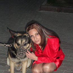  Nina, , 50  -  27  2013