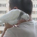 ���� ����, ������, 45 ��� - ��������� 28 ������� 2013 � ������ ���� ����������