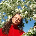 ���� 13 � �� ������� ���� ����������