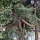 ��������� ����� � ������... �� ������� ������������� �����