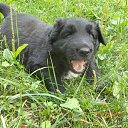 ���� ������ ������� �� ������� �������