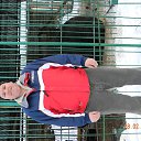 ���� �������, ������, 50 ��� - ��������� 28 ������� 2014 � ������ ������ ��������