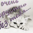 ���� ������-�, ����, 63 ���� - ��������� 18 �������� 2013 � ������ ������Ż