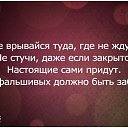 ���� ������, ���������, 41 ��� - ��������� 21 ������� 2014 � ������ ������ ��������