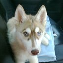 ��������� ���*_* �� ������� ���� ����������