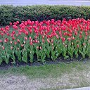 ���� ��������, ������� - ��������� 12 ������� 2014 � ������ ����� ��� ������������