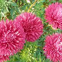 �����... �� ������� ������...�