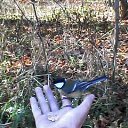 ���� ������� �, �����������, 49 ��� - ��������� 10 ������� 2014 � ������ ���� ����������