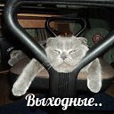 ������������ ���������� ������ ��������! �� ������� ���� ����������