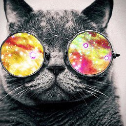 Danila, ������-��������