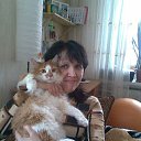 ���� ����, ������, 76 ��� - ��������� 20 ������ 2014 � ������ ���� ����������