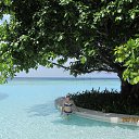 ���� ��������, ��������������, 60 ��� - ��������� 29 ������� 2013 � ������ ���� ����������