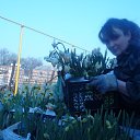 ���� ��������, ������ - ��������� 15 ������ 2013 � ������ ���� ����������