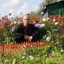 ���� ���������, �����-���������, 52 ���� - ��������� 31 ������� 2013