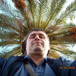 , 51, 