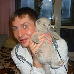 ����-����))), ���������, 47 ���