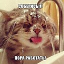 ���� �������, ������� - ��������� 12 ����� 2014 � ������ ������ ��������