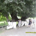 ���� Yaqub, ����, 64 ���� - ��������� 27 ������� 2013