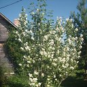 ���� �������, ������� - ��������� 28 ������� 2014 � ������ ������ ��������