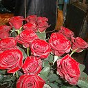 ���� �������, ����, 69 ��� - ��������� 7 ������ 2013 � ������ ���� ����������