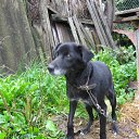 ���� ����, ������, 53 ���� - ��������� 8 �������� 2013 � ������ �������