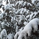 ���� ������, ����������, 55 ��� - ��������� 22 ������� 2013 � ������ ������ � "������" ������� 2013�