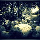  Nata Li Legata,  -  12  2013   ,  )