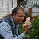 ���� ������, ������, 52 ���� - ��������� 18 ������� 2013 � ������ ���� ����������