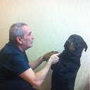 ���� �����, �������, 66 ��� - ��������� 15 ������� 2013