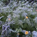 ���� �������, ������� - ��������� 18 �������� 2013 � ������ ��������