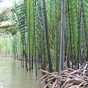 �� ���� ������ �������� �� ������� ��������