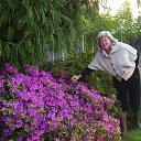 ���� �����, ���� - ��������� 6 ������ 2014 � ������ ���� ����������