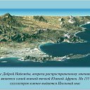 ���� �������, �����������, 62 ���� - ��������� 14 ������� 2013 � ������ ���� ����������