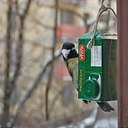 ���� �p��, ������, 25 ��� - ��������� 28 ������� 2013 � ������ �1�