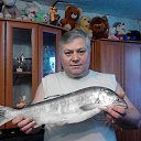 ���� ��������, ������, 53 ���� - ��������� 3 ������ 2014 � ������ ���� ����������