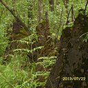 ���� ���������, �������, 50 ��� - ��������� 21 ������� 2013 � ������ ������������ ������.�