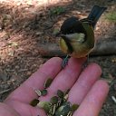 ���� �����, ������, 47 ��� - ��������� 18 ������ 2014 � ������ ���� ����������