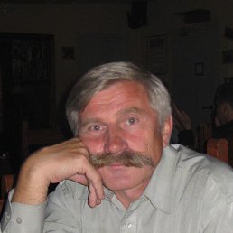 Леонидыч, 65, Вербилки